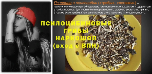 mix Краснослободск
