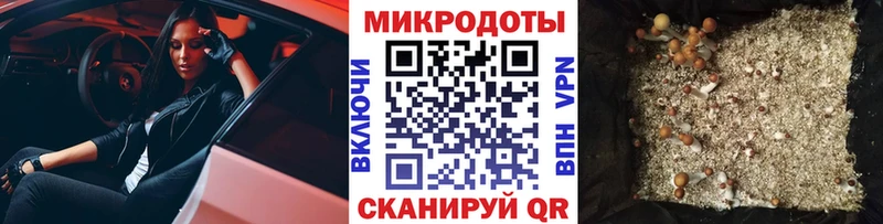 Псилоцибиновые грибы Cubensis Ак-Довурак